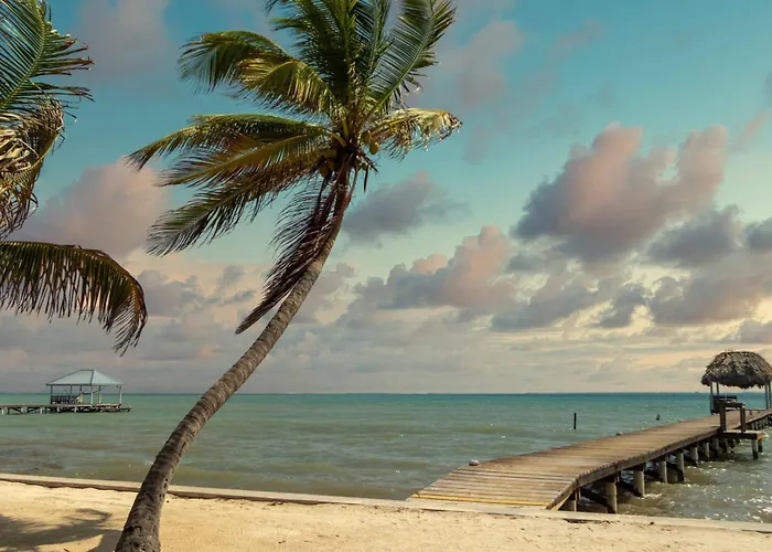 White Sands Cove G01-romantic Garden View 1 Bedroom By Floreo San Pedro (Ambergris Caye)