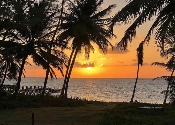 White Sands Cove G01-romantic Garden View 1 Bedroom By Floreo * San Pedro (Ambergris Caye)