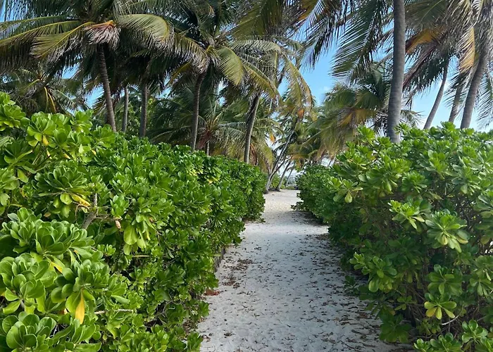 White Sands Cove G01-romantic Garden View 1 Bedroom By Floreo Holiday home San Pedro (Ambergris Caye)